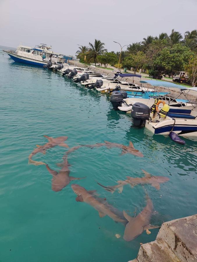 Rashuthere Maldives Rasdhoo Екстер'єр фото