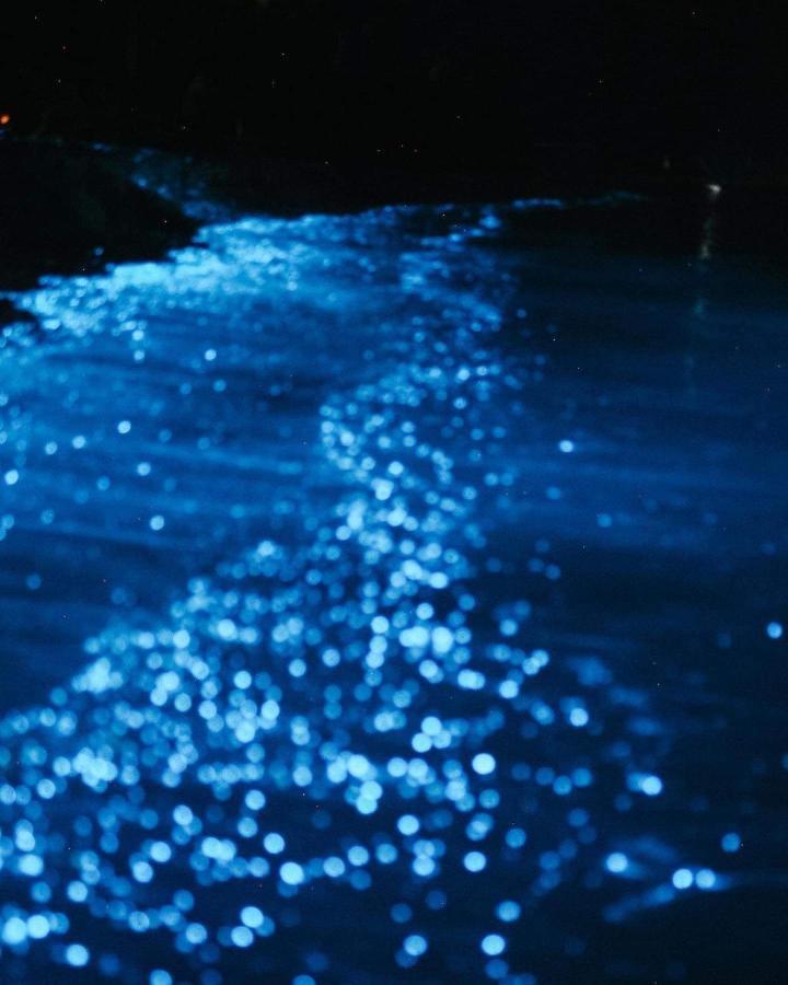 Rashuthere Maldives Rasdhoo Екстер'єр фото