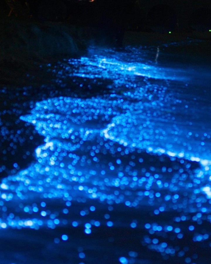 Rashuthere Maldives Rasdhoo Екстер'єр фото