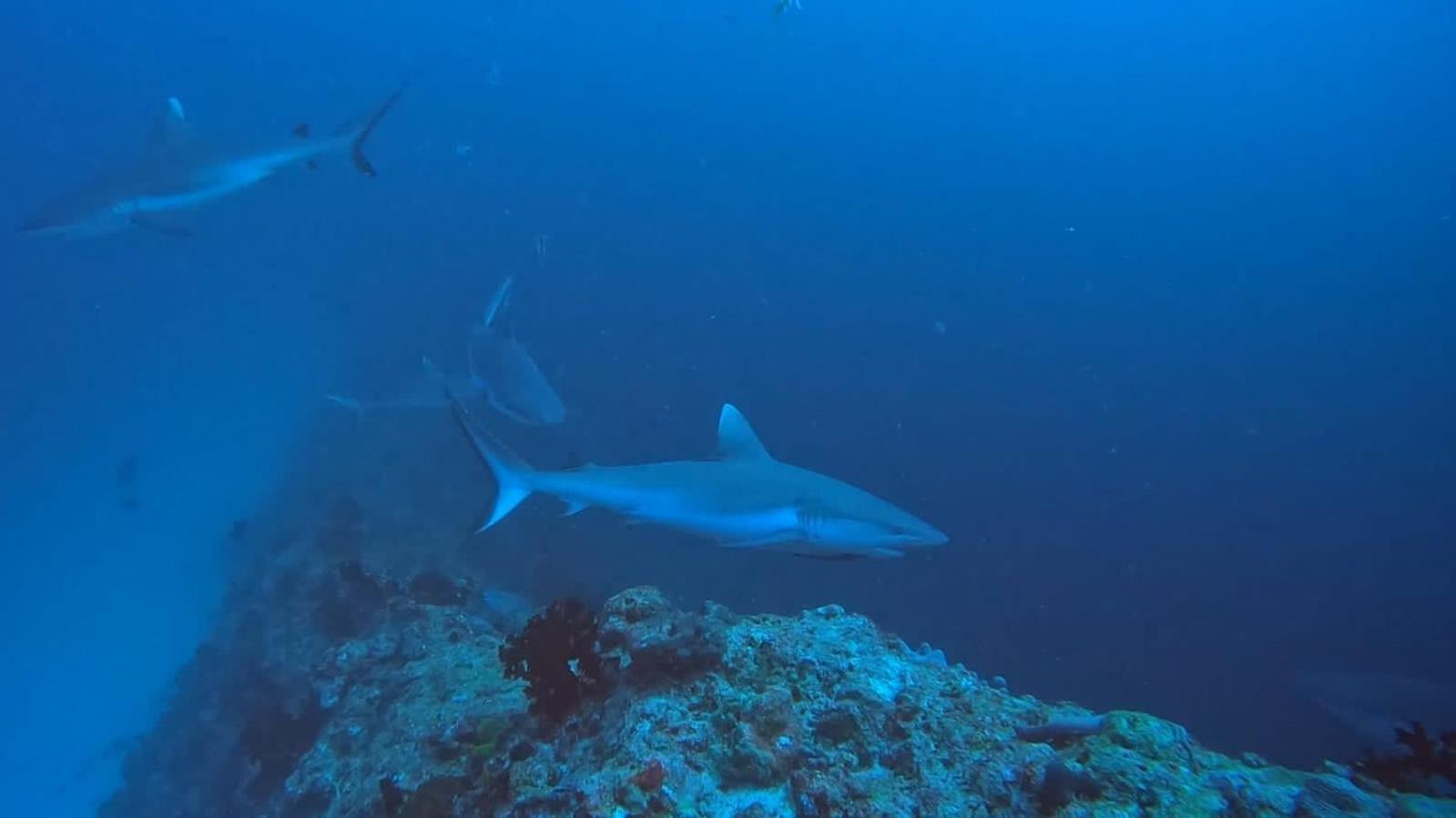 Rashuthere Maldives Rasdhoo Екстер'єр фото