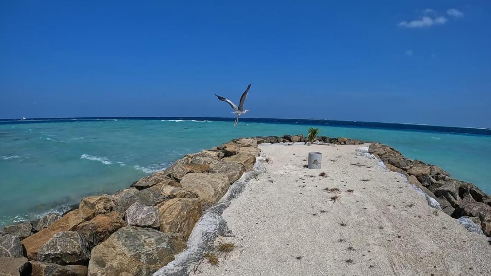 Rashuthere Maldives Rasdhoo Екстер'єр фото